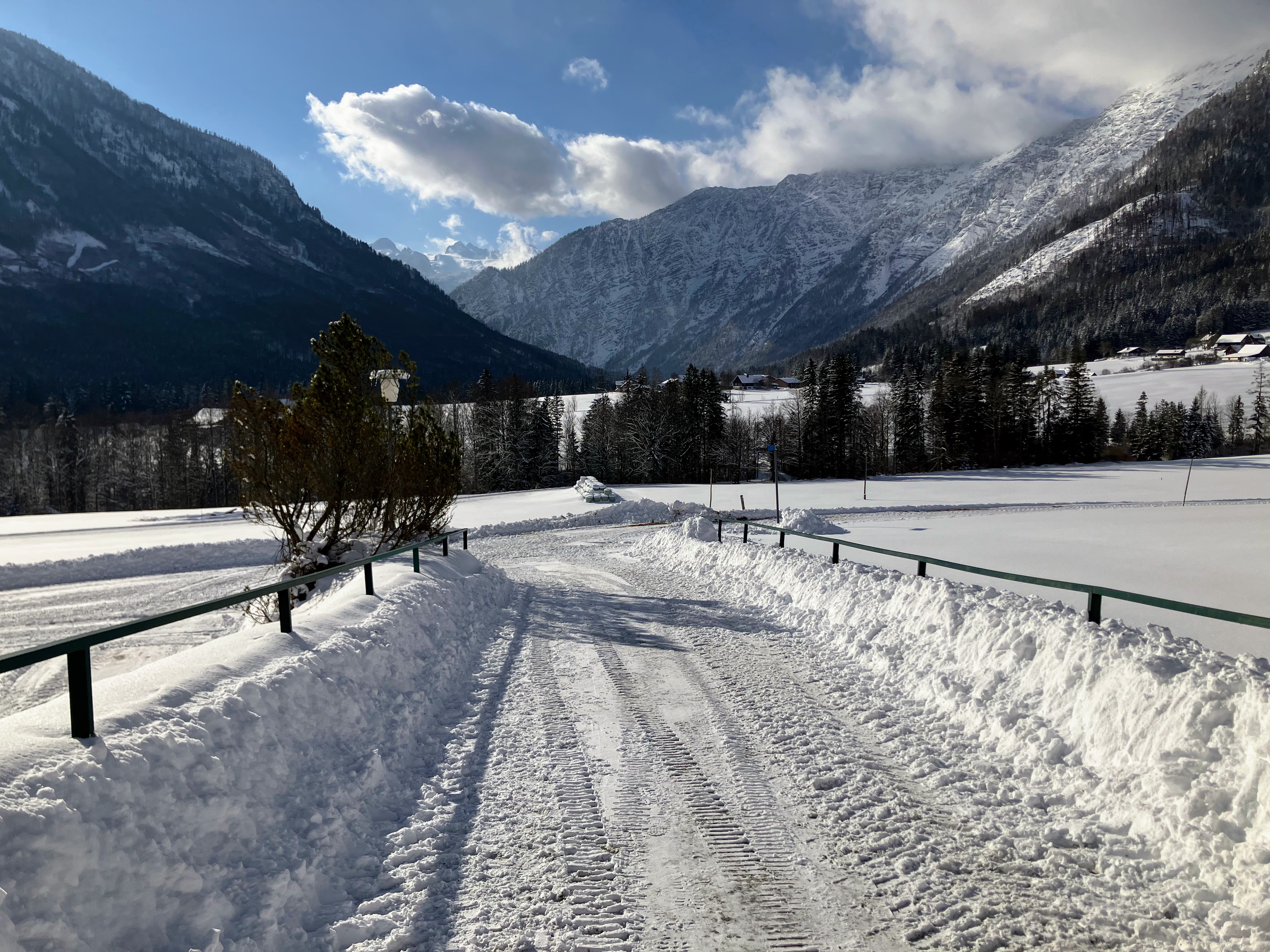 Winter