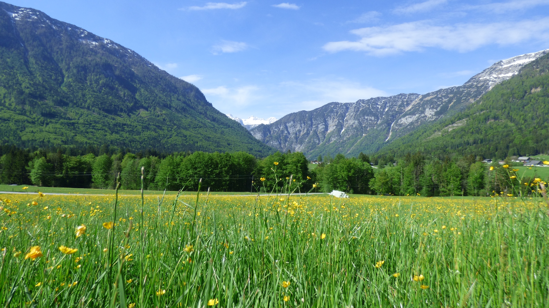Dachstein